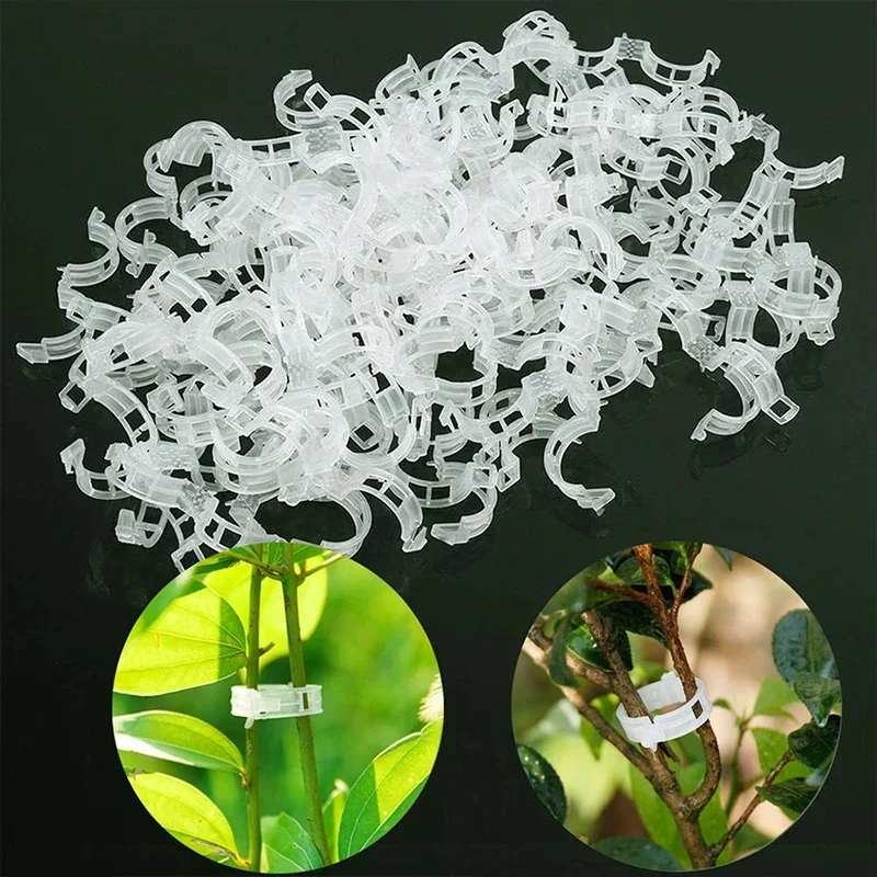 Plastic Plant Clips Supports Reusable Buckle Connects Fixing Vine Tomato Stem Grafting Vegetable Plants Orchard and Garden Tools