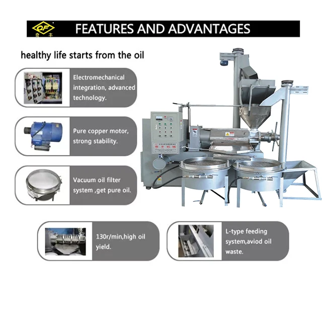 Large Capacity Commercial Use Cold Oil Press Machine Of Sunflower Copra Groundnut Oil Extraction Machine
