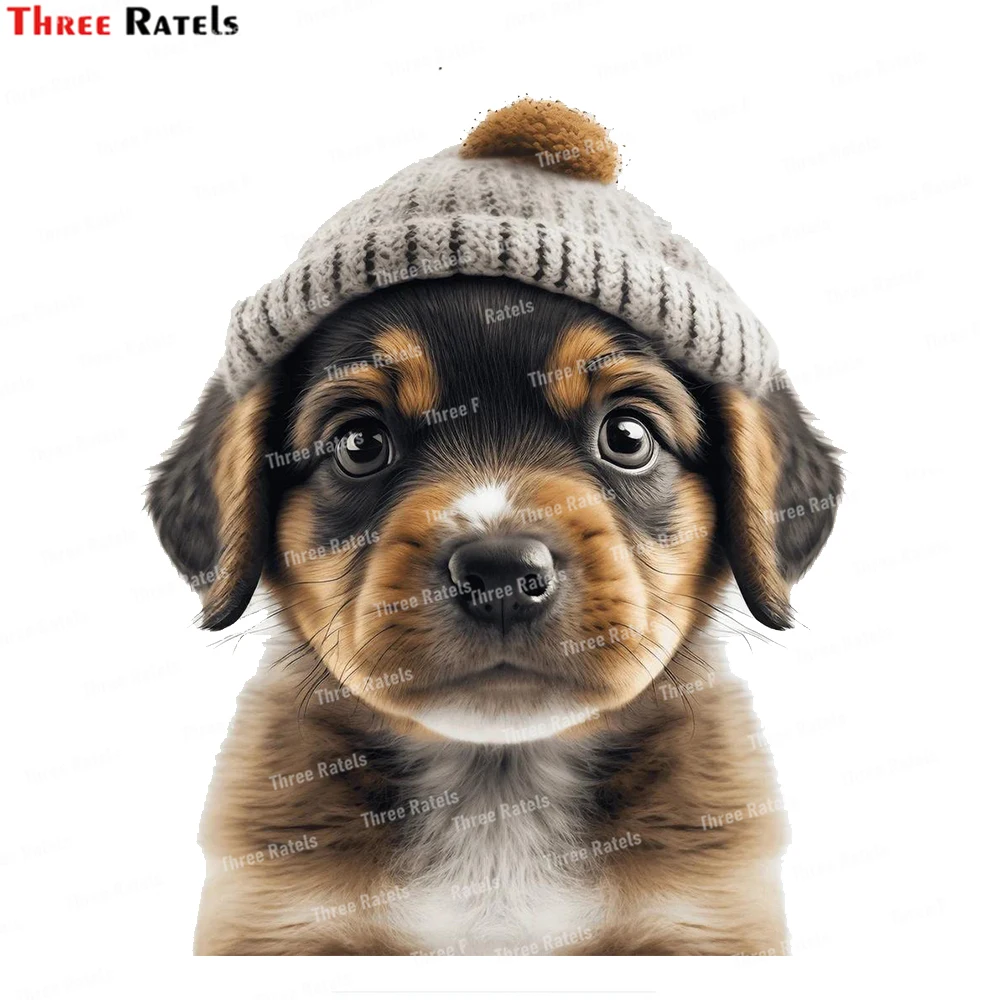 Three Ratels K778 Friendly and Fuzzy Baby Dog Wall Art Poster with Beanie Hat  Adorable Children's Room Decor