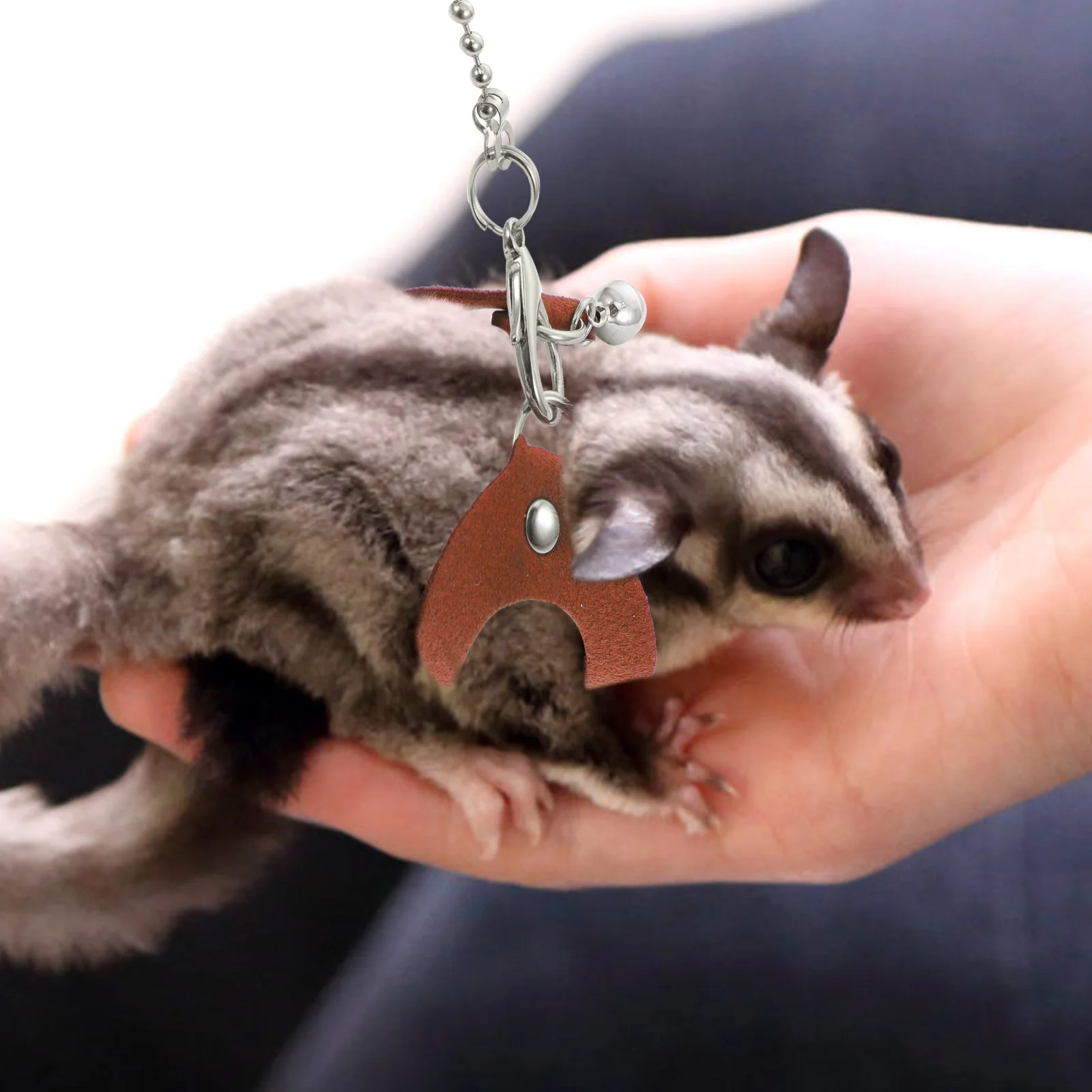 

Pet Leash Small Animal Harness Sugar Glider Walking Rope Puppy Traction Ropes Brown Lightweight Compact Storage Carry Fashion