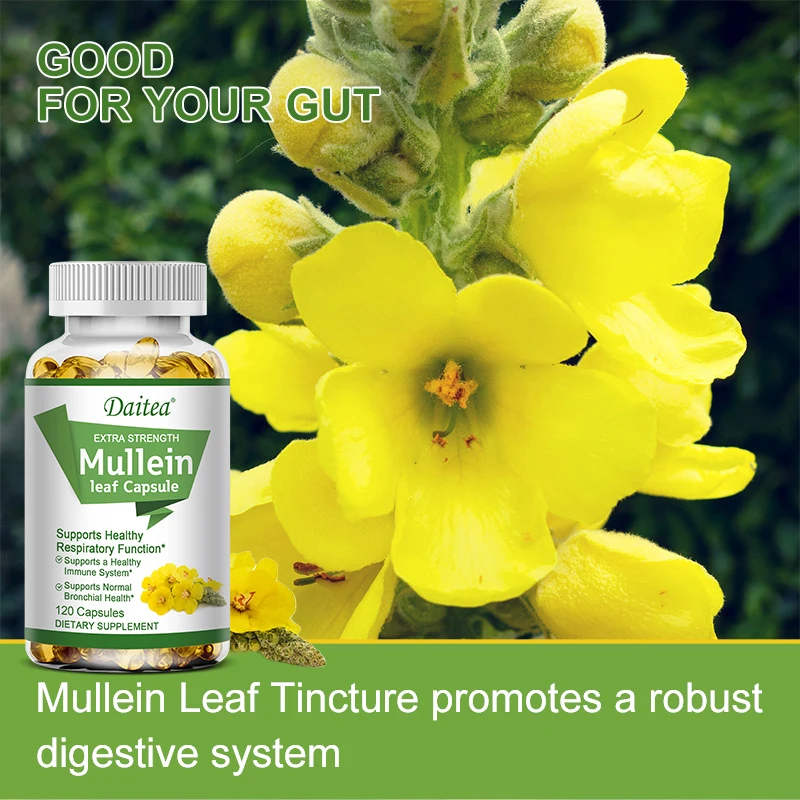 Daitea Mullein Leaf Extract Capsules, Helps Cleanse and Detoxify The Lungs, Supports Respiratory Health, Promotes Deep Sleep