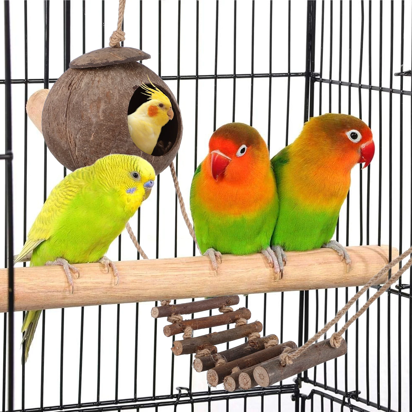 

Small Decorative Reptile Hideout Coconuts Shell Shelter Lightweight Turtle Tank Ornament Lizard Shelter Reptile Hideout