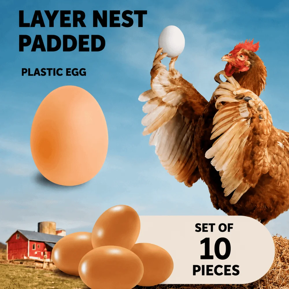 10pcs Simulation Plastic Fake Eggs Eggshell Drawing Simulation Egg for Hens Children's Teaching Artificial Incubation Eggs