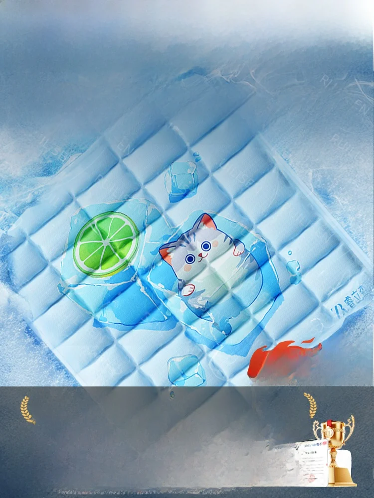 

RuiLisen 30PCM Ice Pad Cool Cushion Bedsores Prevention Non-Waterfilling New 2026 Household Ice Pad Normal Size