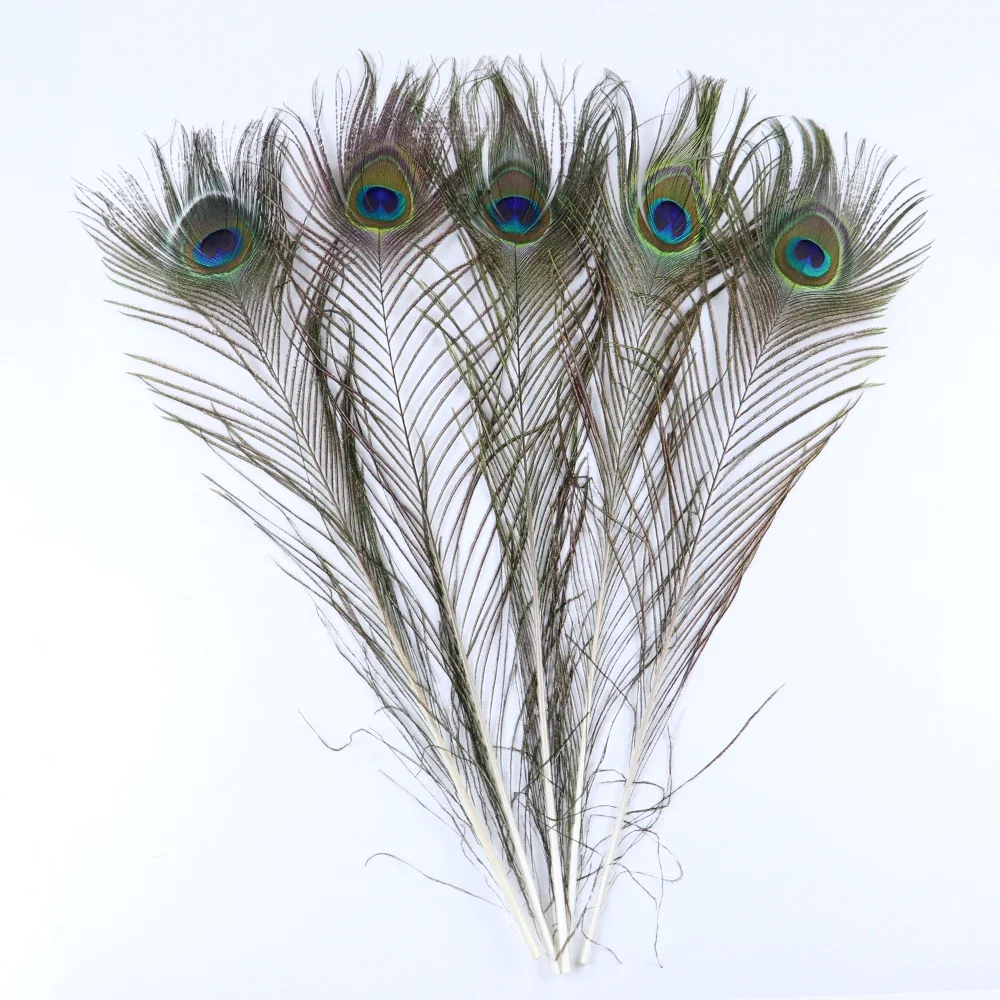 Wholesale 10PCS Natural Big Eyes Peacock feather 25-80CM High Quality feathers for party Home Decorative Peacock Plume