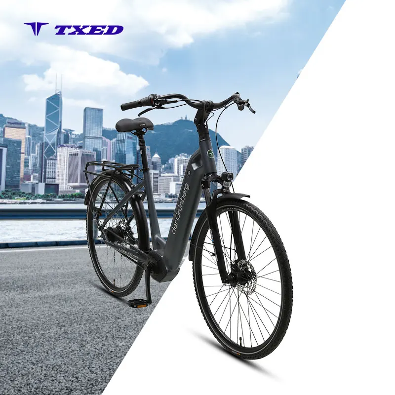 Bicicleta Eléctrica Urbana TXED, Batería de Litio de 36V/20Ah, Motor Central, Frenos de Disco Hidráulicos Nexus 8S, Bicicleta Eléctrica Urbana Holandesa