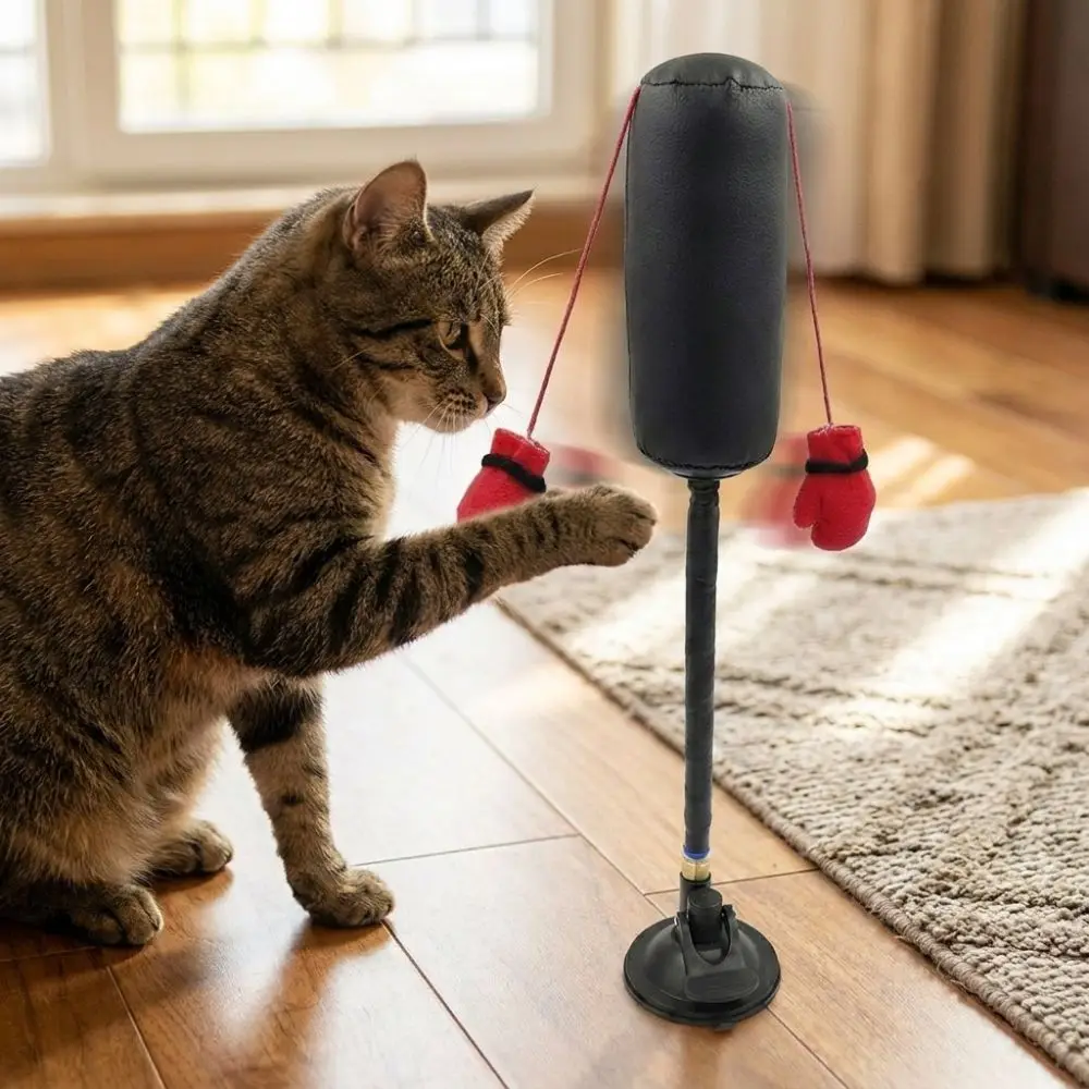 Suction Cup Cat Boxing Toy Self-standing Scratch Trainer Pet Punching Bag Toy Scratch Resistant Bite Resistant - view 5