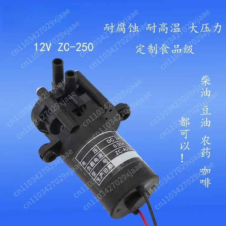 DC 12v24v self-priming booster miniature water pump corrosion-resistant pesticide spray medical apparatus food grade gear pump