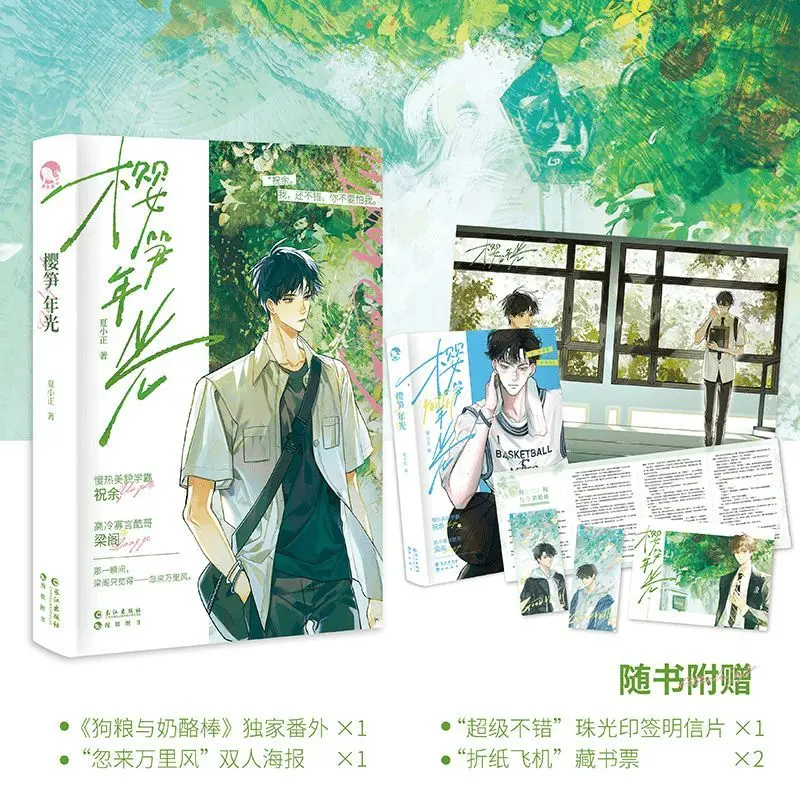 Warm Boys Love Fiction Book Cherry Bamboo Youth Cool Quiet Boy & Gentle Top Student Healing Story