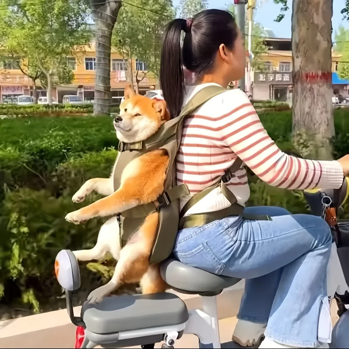 

KEEHOME Pet Dog Backpack for Going Out, with Safety Buckle, to Shops, Hospitals, Outdoors, Convenient And Portable, Easy to Wear, Good G