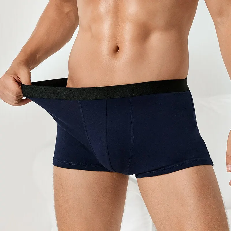 Boxer en coton grande taille pour homme, sous-vêtement thermique, short pour garçon, lingerie sexy, lot de 2 pièces