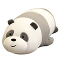 panda pazi