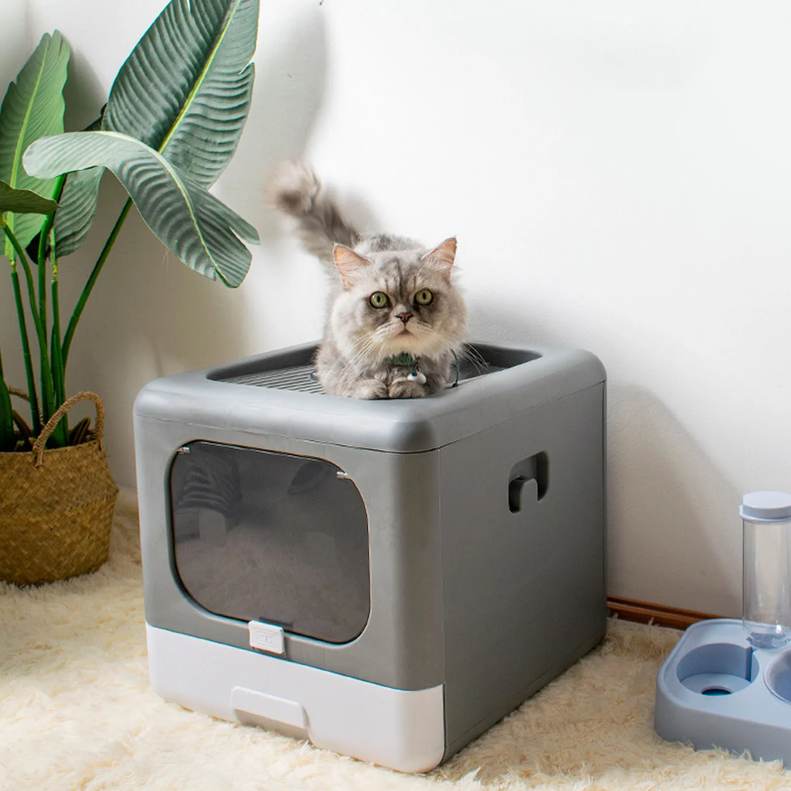 

Cat Litter Box Enclosed Cat Litter Box Cat Litter Box Large Plastic Spill Proof Cat Toilet Folding Cat Toilet Plastic Litter Box