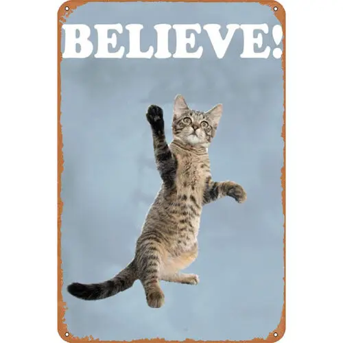 Believe Cat Hang in There Cat Metal Tin Sign Perfect Motivational Poster 12x8 In