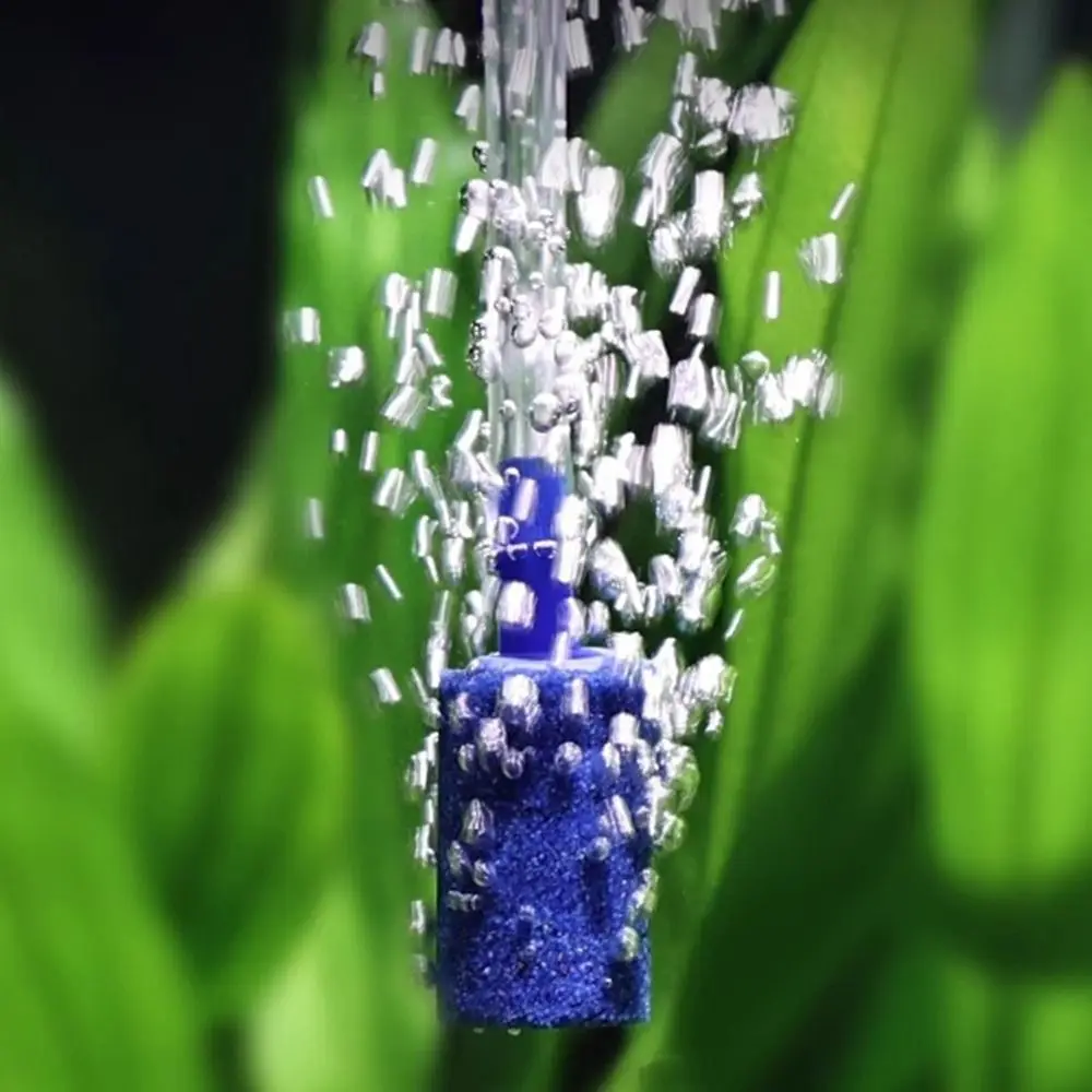 

Crystal Glass Fish Tank Dissolved Oxygen Device Anti-Splash Design Preventing Water Splashing Aquarium Oxygen Diffuser