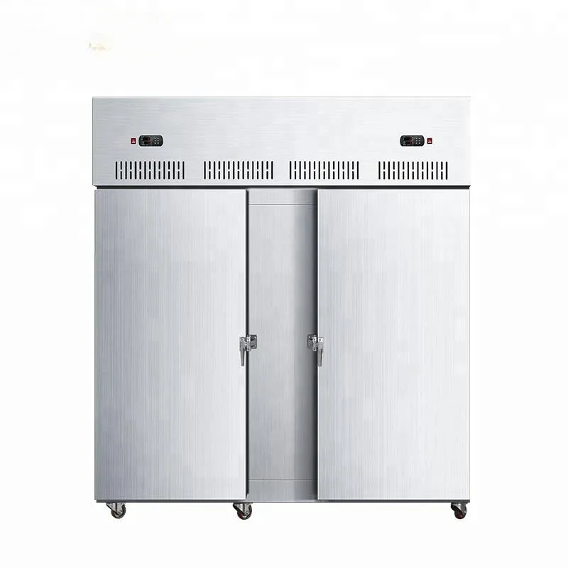 Freezer With Quick Freeze And Auto Defrost Snap On Auto Cooling Compressor Air Cooling For Meat Storage 1900*940*2150mm