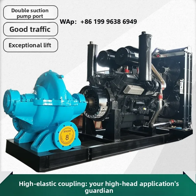 Engine Water Pump Agricultural Irrigation Double Suction Pump 220V/380V Frequency Conversion Iron Material High Flow 150