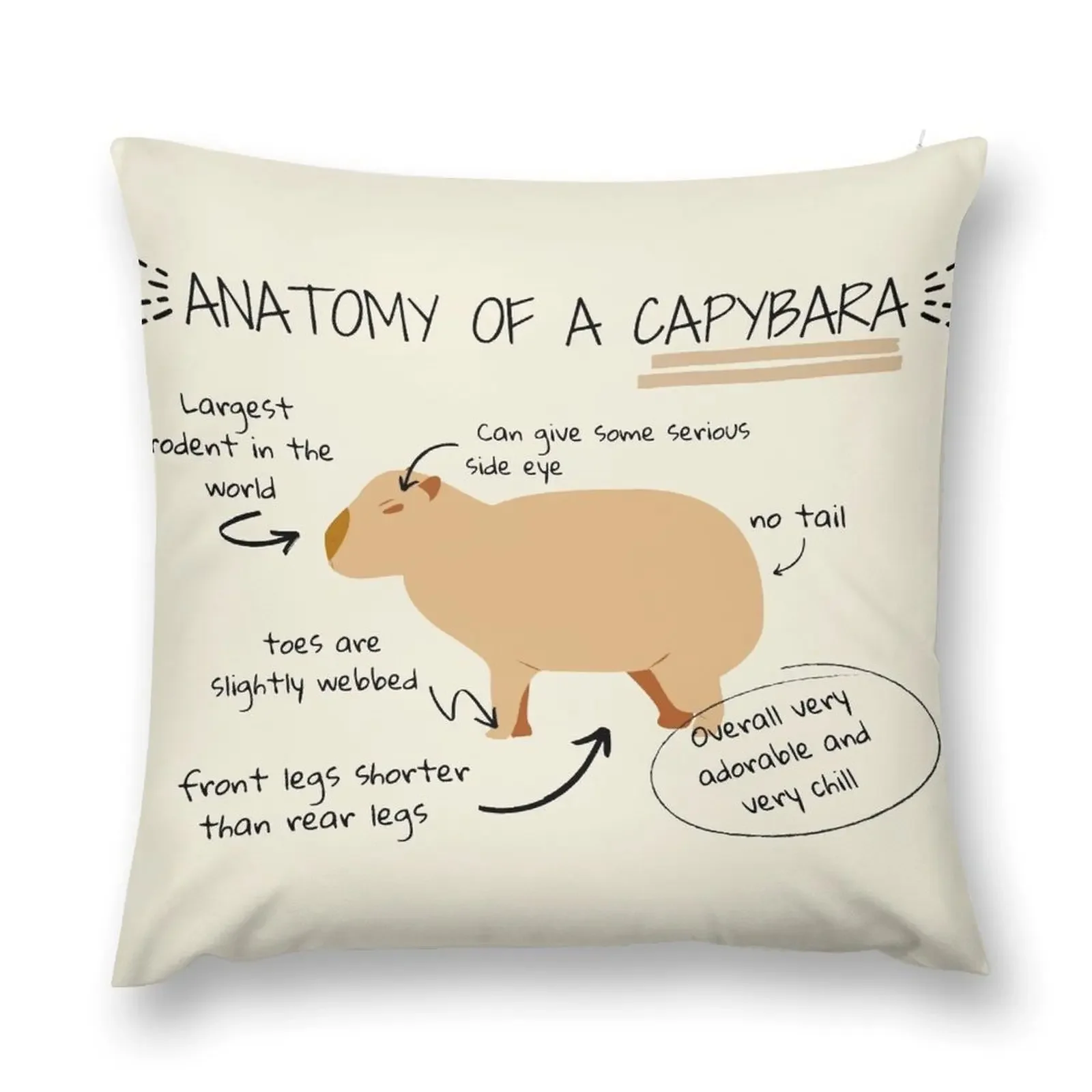 

Anatomy of a capybara Throw Pillow Sofas Covers Sitting Cushion Ornamental Pillow pillow