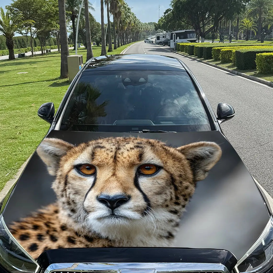 

Wildlife Cheetah Portrait Car Hood Sticker,Waterproof Self-Adhesive Vinyl Graphics Decals,Decorative Auto Accessories Stickers