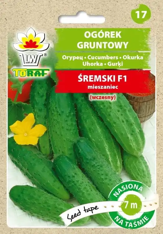 Cucumber Śremski F1 seeds of cucumber vegetables on tape 7m - TORAF