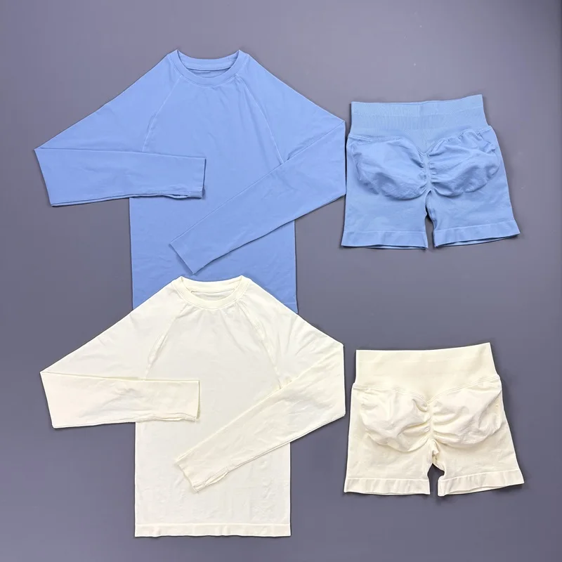 2Piece Gym Set Women Seamless Long Sleeve Sports Top Hip Lift Quick Dry Slim Fit Yoga Shorts Running  Fitness Workout Clothes
