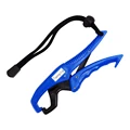 6(blue)