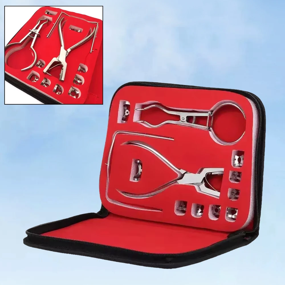 

Dental Rubber Dam Punch Perforator Stainless Steel Lab Instrument for Dentist Clinic Endodontic Tools