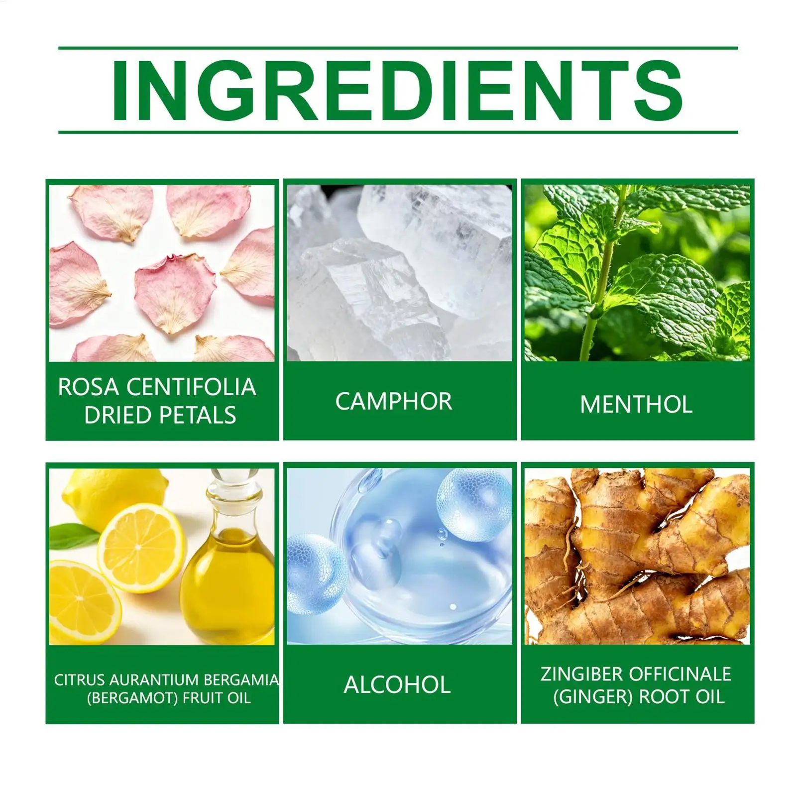 أدوات تدريب الحيوانات الأليفة 10 قطع حاجز طويل الأمد إبقاء القطط للقطط نباتات منزلية داخلية في الهواء الطلق حديقة ساحة الحديقة