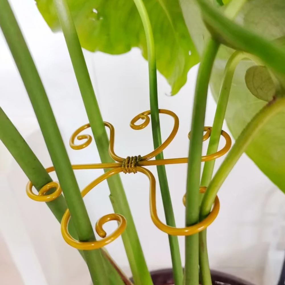 Support de tige de plante réutilisable, 5 pièces, support de plante Monstera, support de tige de plante, stabilisateur de plante pour une croissance florissante