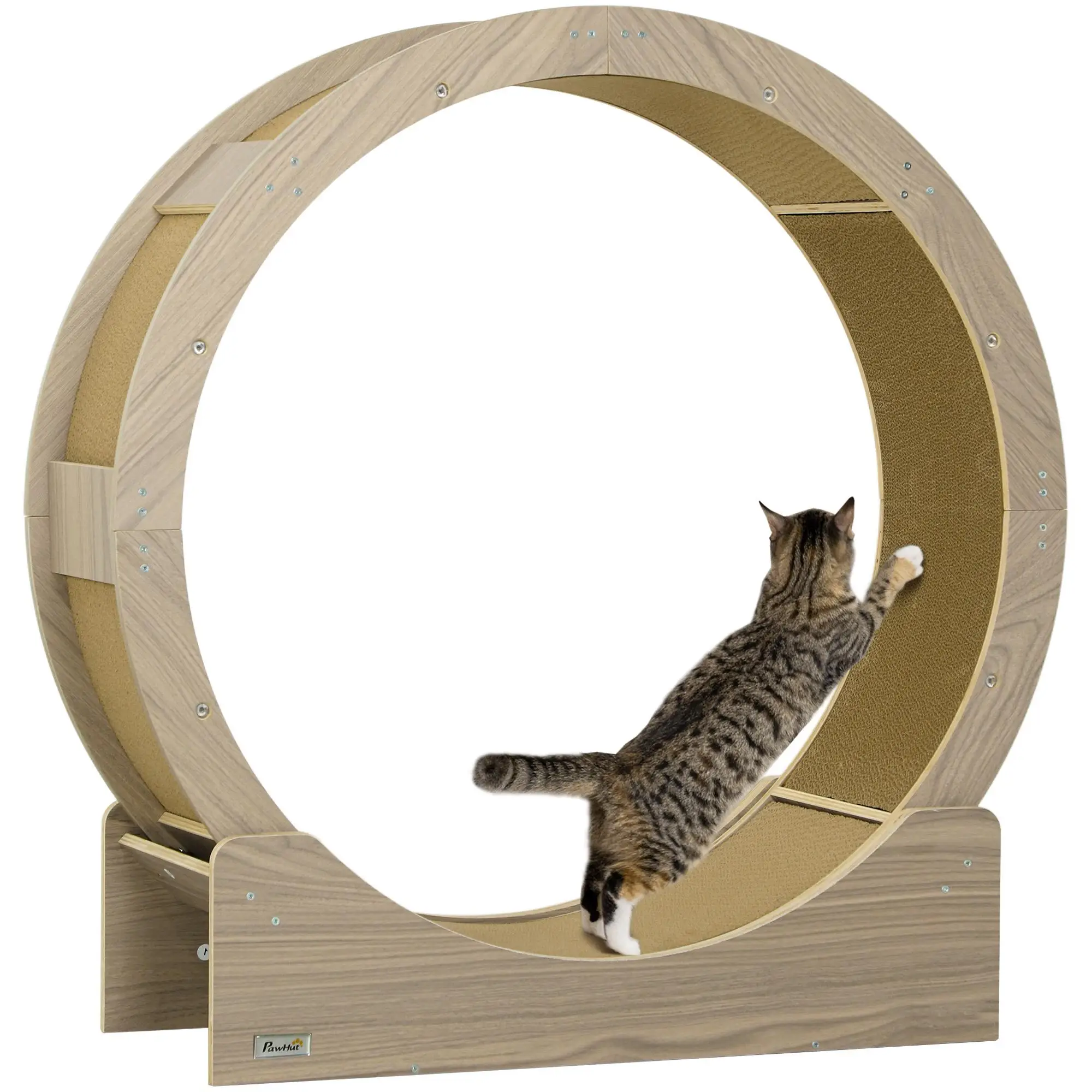 Vélo d'équilibre pour chat 91 cm avec frein et tapis à gratter interchangeable, silencieux pour chats jusqu'à 5 kg