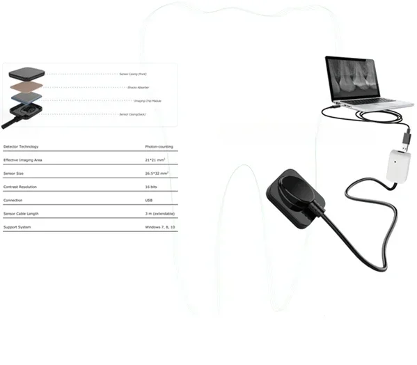 LK-C62B Digital Dental X-Ray Sensor for Digital Clinic Hot sales