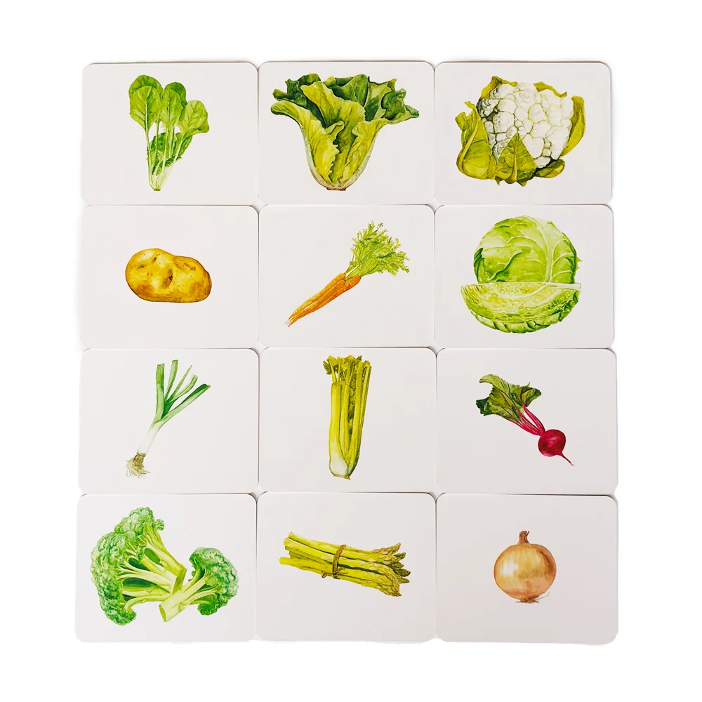 بطاقات الإدراك للخضروات، مواد لغة مونتيسوري، ألعاب تعلم الأطفال الصغار، لعبة تعليمية في مرحلة الطفولة المبكرة