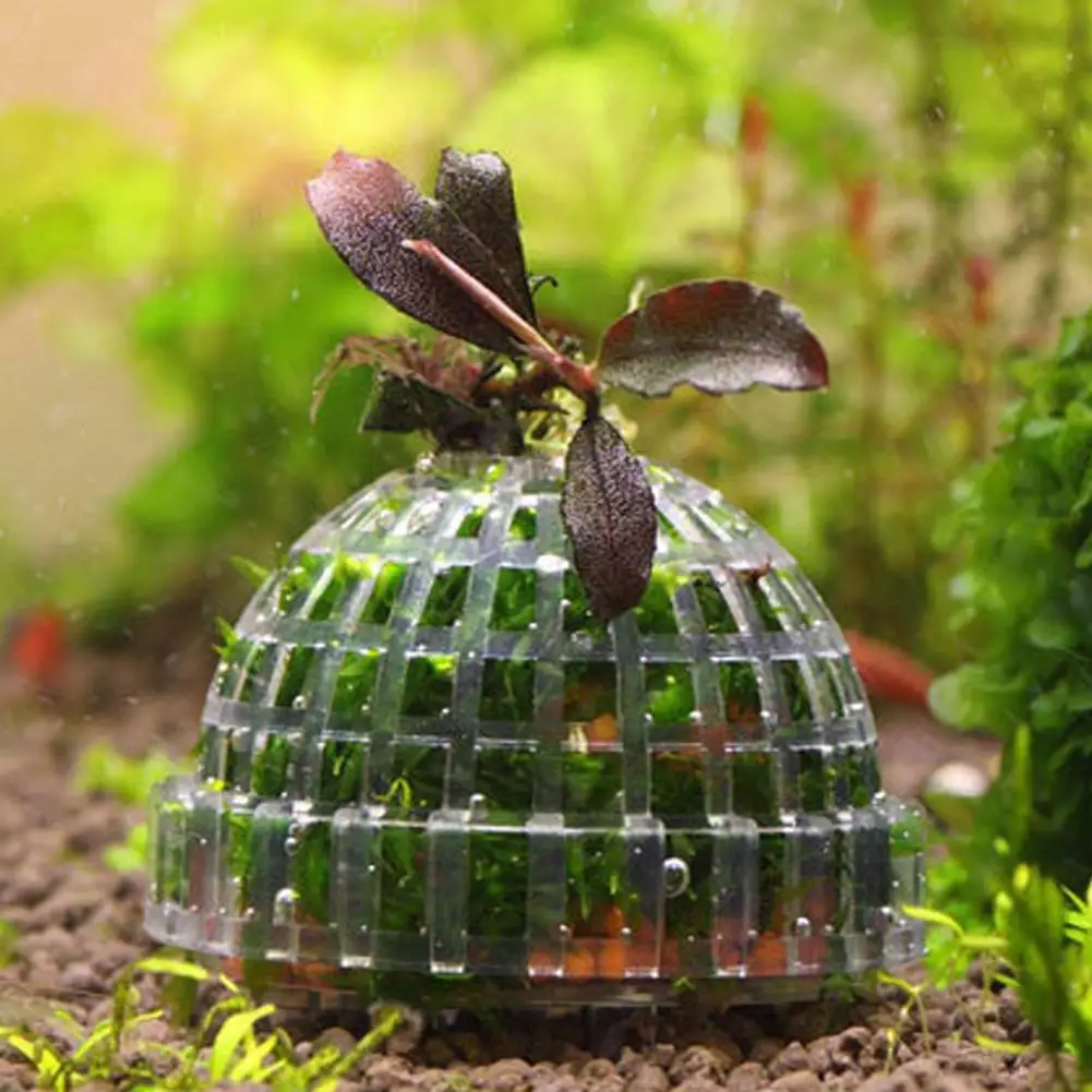 Aquarium Dekoration Pflanzen Bio Moos Ball Halter für Aquarium Kristall Rot Garnelen Haus Aquarium Dekor Filter Zubehör – Detail 9