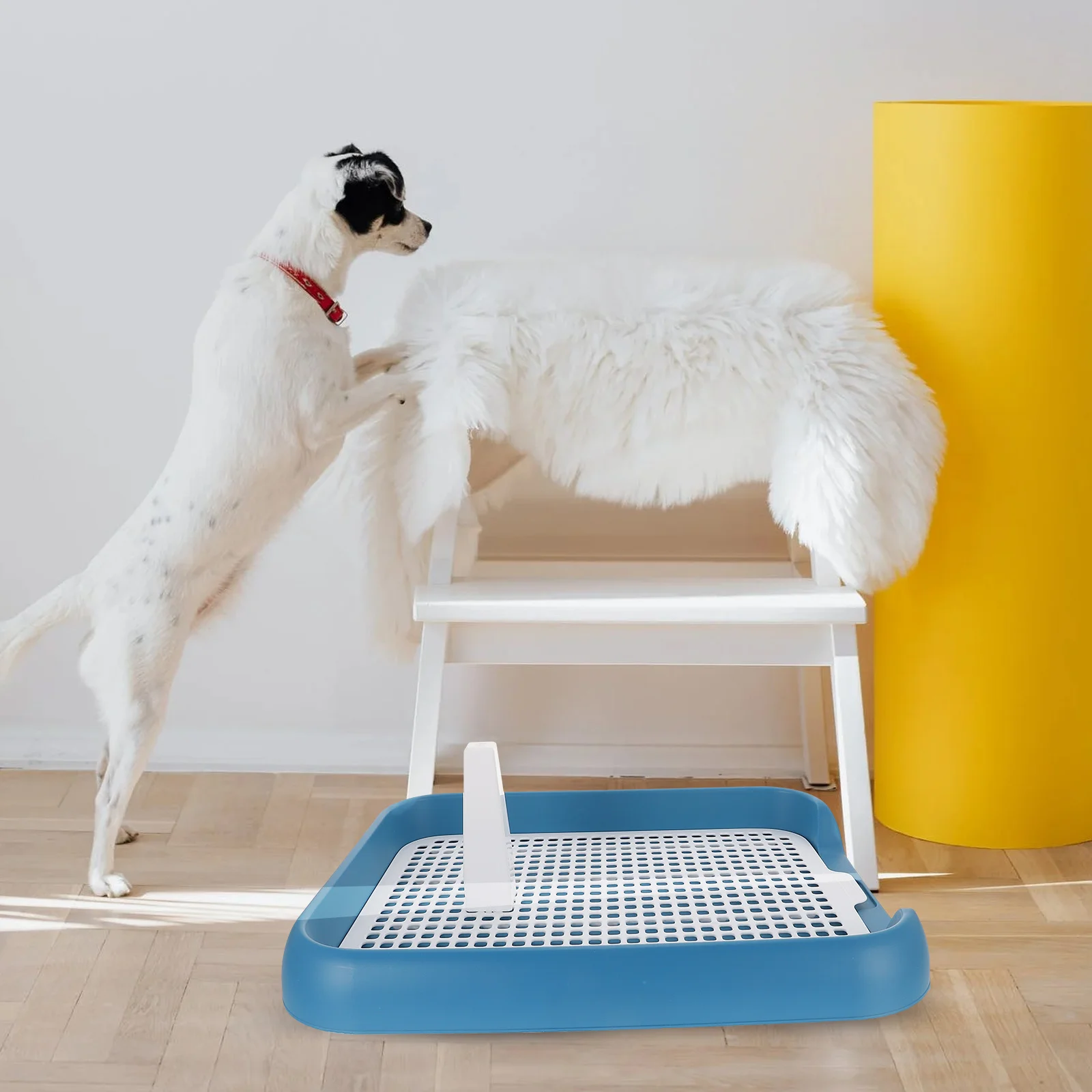 

Dog Indoor Potty Plastic Mesh Pet Toilet For Small Dogs Puppy Training Portable Indoor Dog Potties Pet Toilet Train Potty