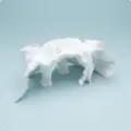 White-L