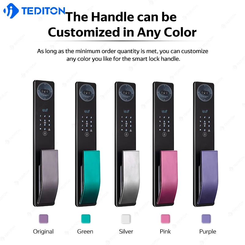 Tediton Video Digital Fingerprint Face Palm Vein Smart Door Lock with Tuya Wifi Inteligente Biometric Smart Lock for Wood Door
