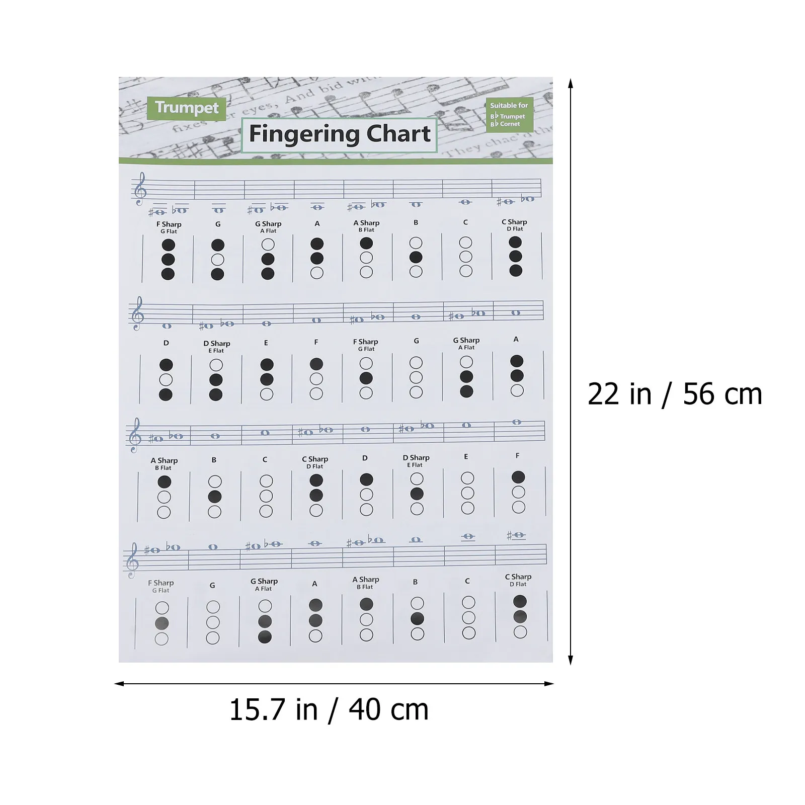Trumpet Fingering Chart Chord Practice Guide Clear Print Colorful Beginner Music Learning Tool