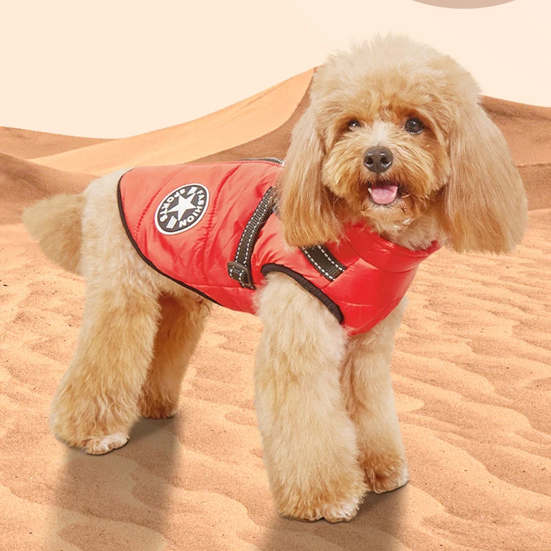 Thumbnail 3 - #34 Cheap Dog Apparel Worth Buying