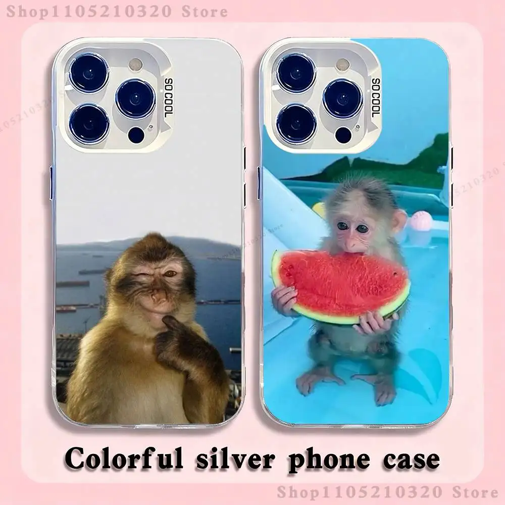 

Cute Funny Monkeys Symbol Phone Case For iPhone 17,16,15,14,13,12,11,Pro,Max,Plus,Mini,XS,SE Anti Fall White Matte Hard Bumper