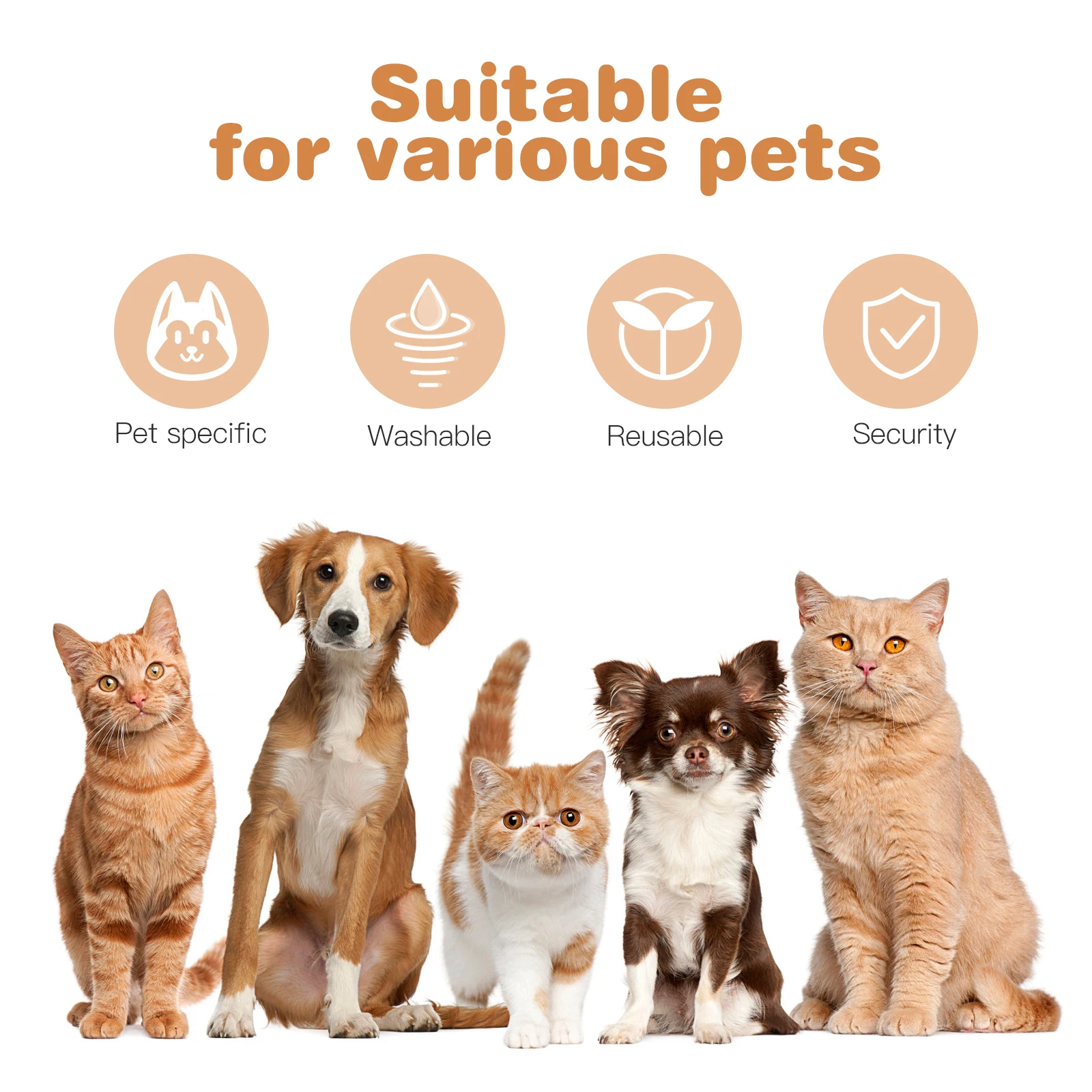 

3 Pcs Plastic Dog Bowl Pet Bowls for Small Dogs Animal Dish Food Container Kennel