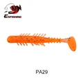 PA29