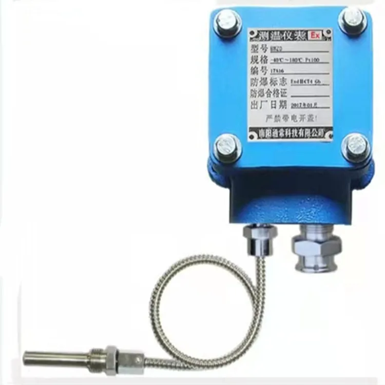 Sensor de temperatura BWZD Series Ex PT100