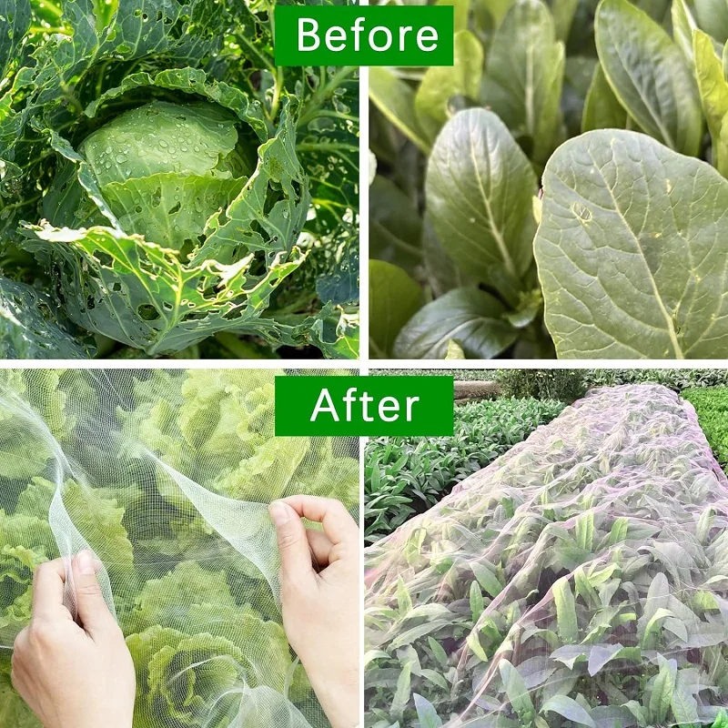 Garden Pest Protection Net 3