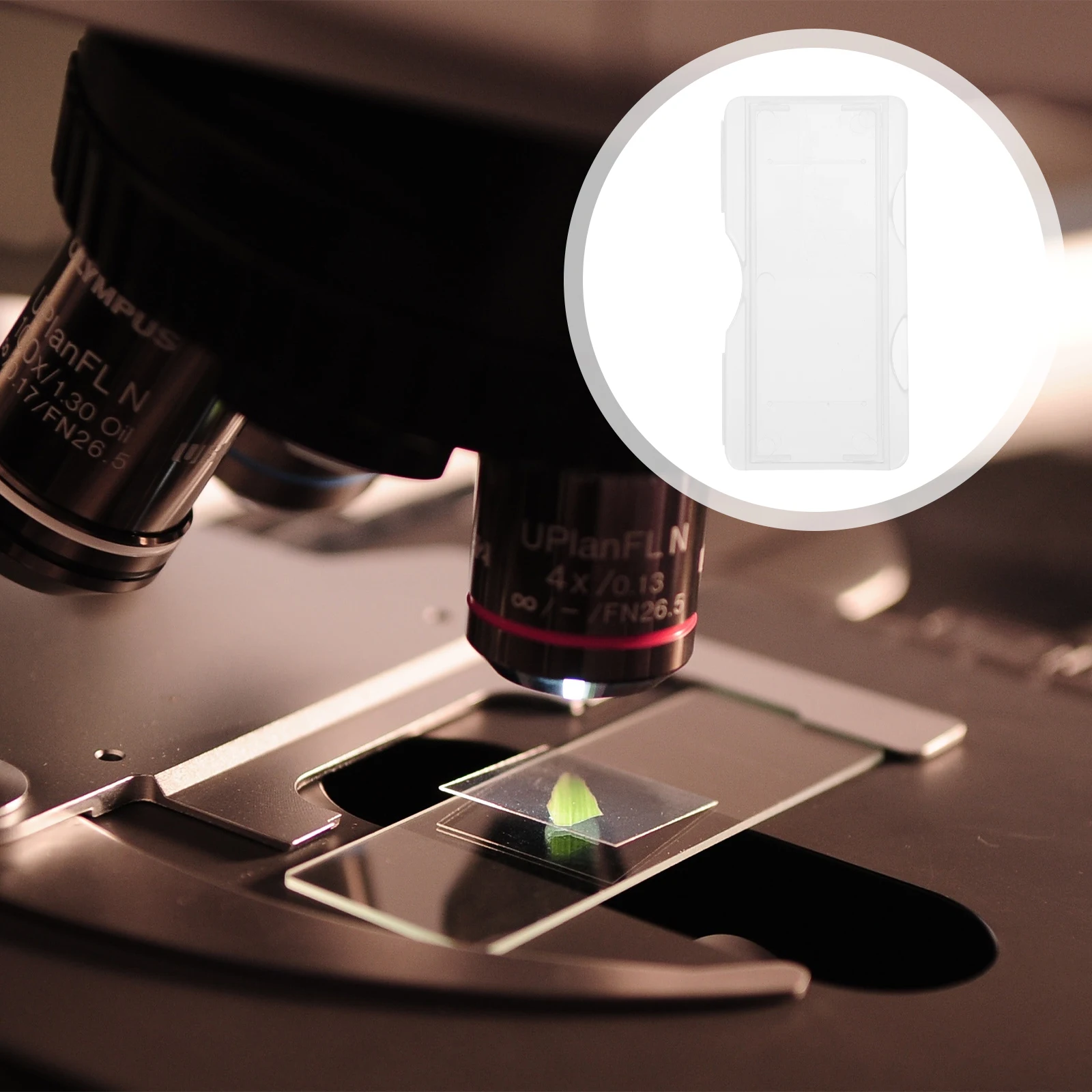 

100 Pcs Clip Microscope Individual Box Plastic Lab Teaching Slide Storage Holder Storage Container