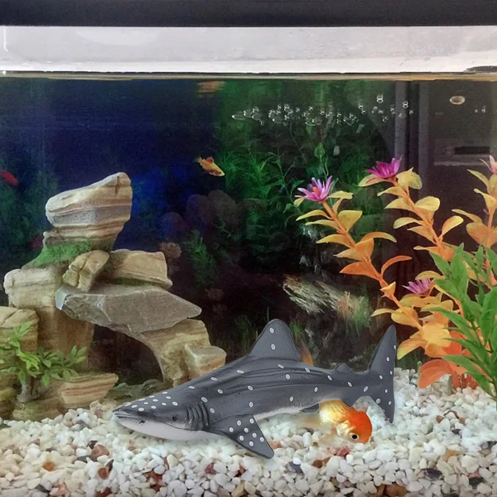 6x الحوت تمثال واقعية مفصلة عمل الشكل الحرف البلاستيكية نموذج ديكور المنزل ألعاب تعليمية مبكرة للفتيات الفتيان سن 3 + أطفال