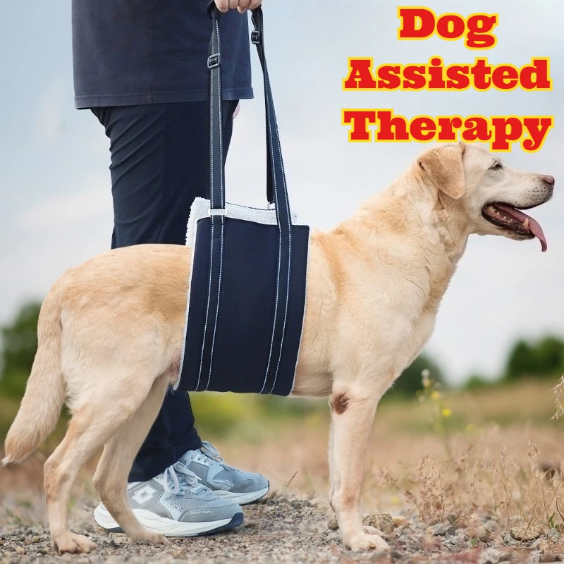 

Adjustable Reflective Dog Harness Leash Support Vest Pet Mobility Aid Safety Walking Bulk Supply Supplies Comfortable Notching