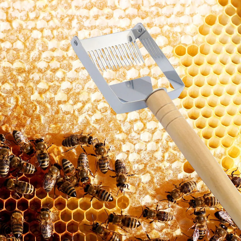 Stainless Steel Honey Uncapping Tool With Wooden Handle Wooden Handle Beekeeping Knives For Farm