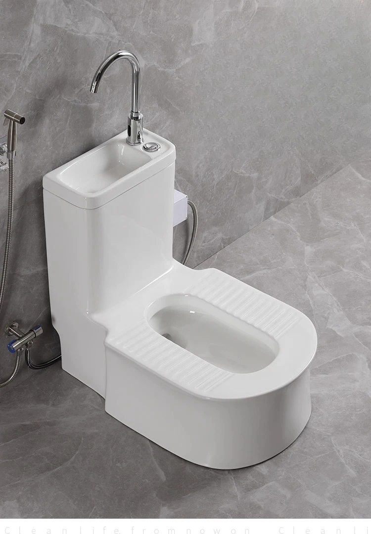 

Bathroom with wash basin integrated squatting toilet