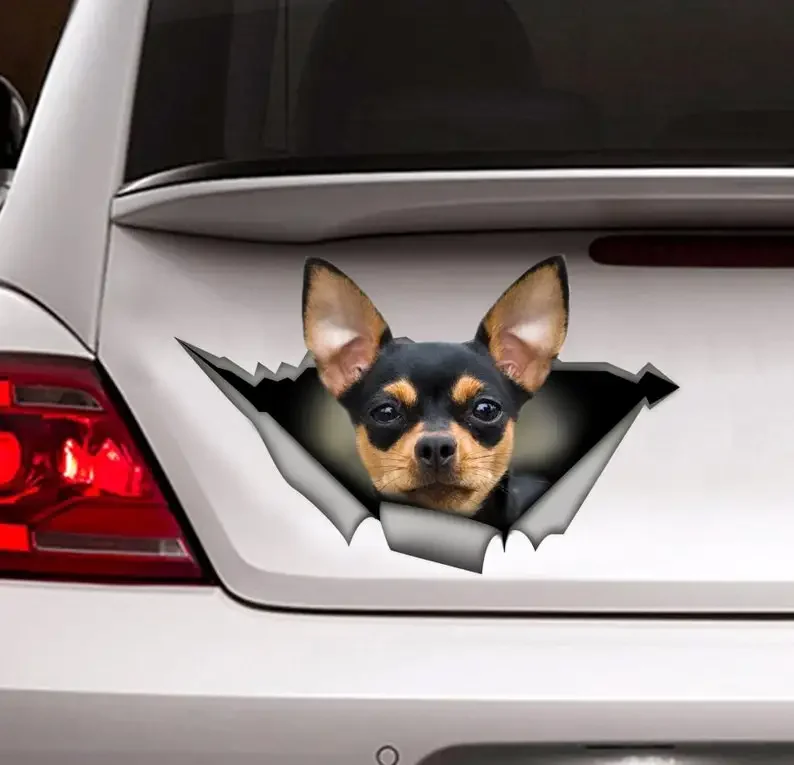 Black and tan Chihuahua sticker, Chihuahua magnet, chihuahua car decal,pet decal