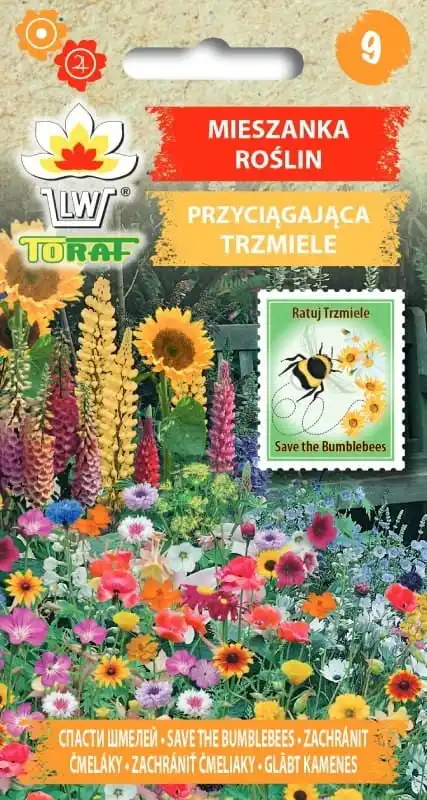 Mélange de plantes pour attirer les bourdones, graines de fleurs 2G pour la maison et les fleurs de jardin